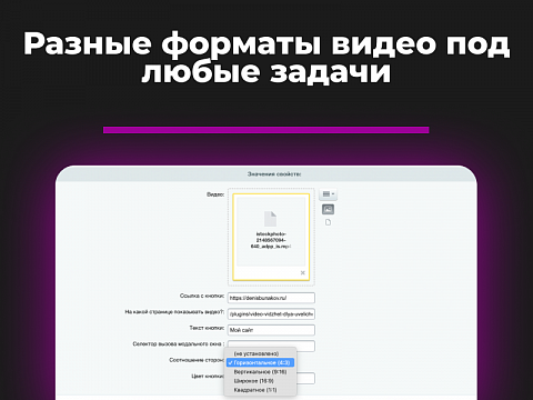 BNK Видео-виджет — скриншот